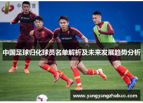 中国足球归化球员名单解析及未来发展趋势分析